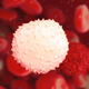 Illustration for article titled A $25 Blood Test Could Detect Every Virus Thats Ever Infected You